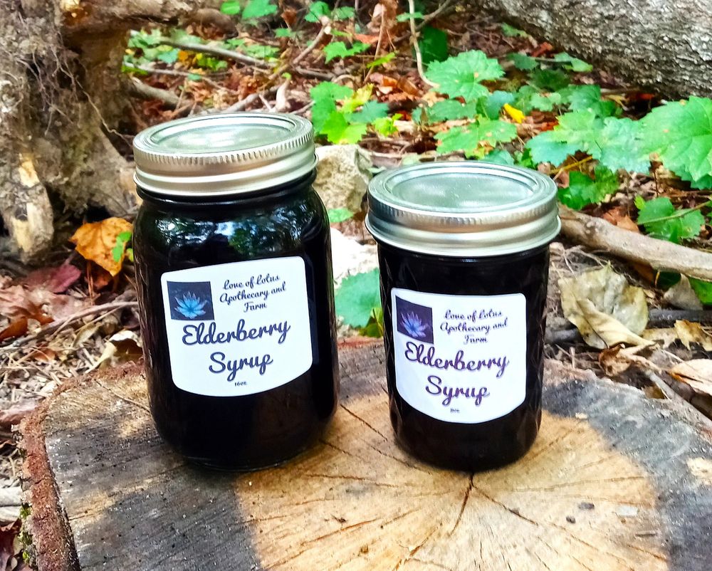 Elderberry Syrup - 16oz